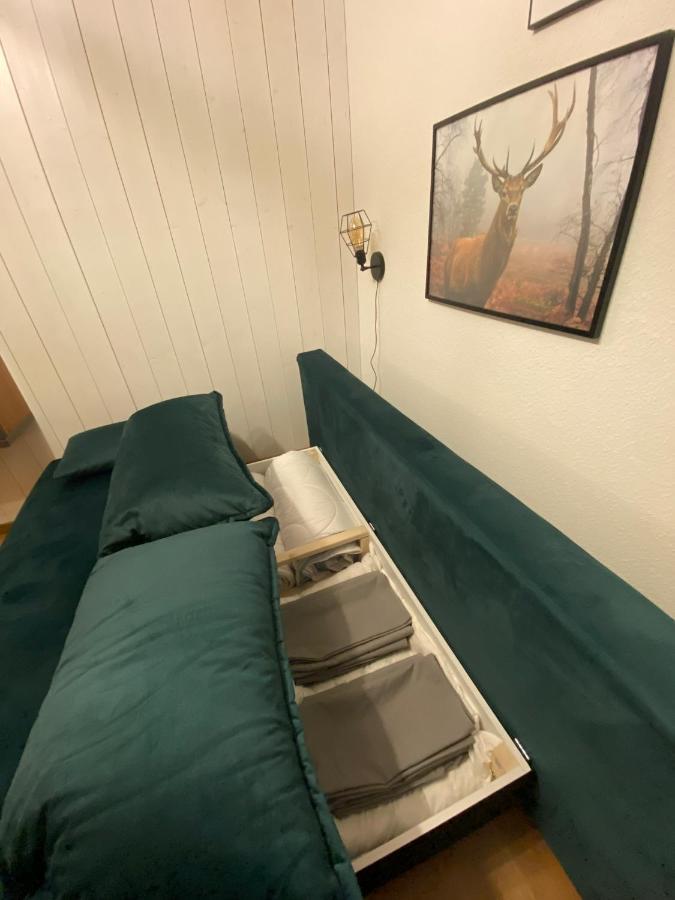 Apartment Am Wasserfall Mit Sauna & Top-Lage เฟลด์แบร์ก ภายนอก รูปภาพ